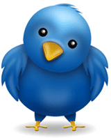 twitter - little blue bird